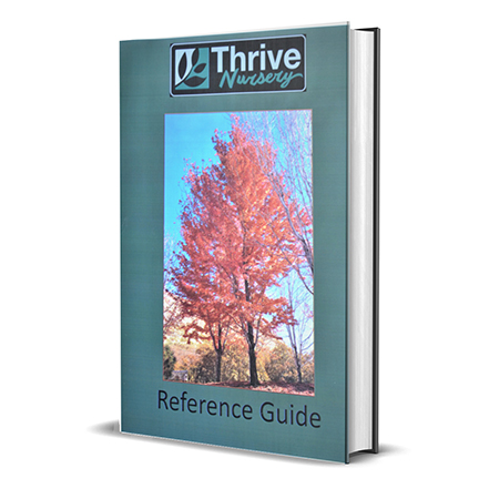 Thrive Nursery Reference Guide